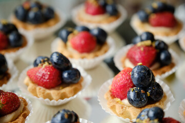 Festive Fruit Tartlets: Perfect for Celebrations.
