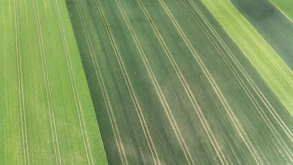 a landscape shot with a drone