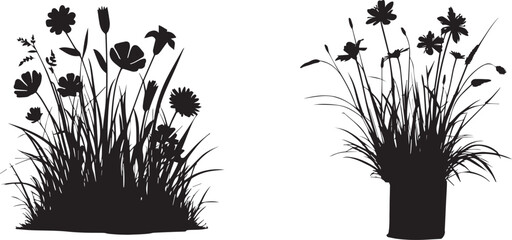 Silhouette of Grass and flower vector on white background