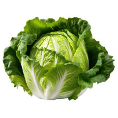 Fototapeta premium Fresh green cabbage on transparent background 