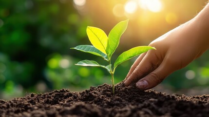 Comprehensive ESG Risk Management Solutions provide a range of tools and processes designed to enhance corporate responsibility by effectively managing environmental, social, and governance risks.