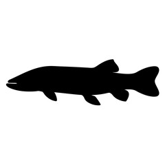 arapaima vector silhouette icon - ideal for fishing logos, seafood icons, and aquatic-themed graphics.