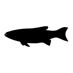 arowana vector silhouette icon - ideal for fishing logos, seafood icons, and aquatic-themed graphics.