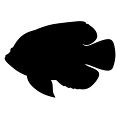 arowana vector silhouette icon - ideal for fishing logos, seafood icons, and aquatic-themed graphics.