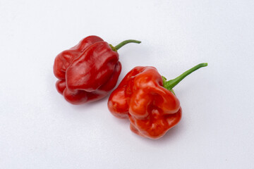 ripened red habanero peppers (capsicum chinense) isolated on white background . Very hot mexican peppers close up