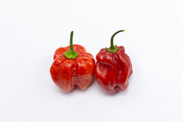 ripened red habanero peppers (capsicum chinense) on rustic table. Very hot mexican peppers close up