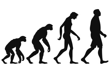 silhouette of a human evolution vector 
