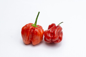 ripened red habanero peppers (capsicum chinense) isolated on white background. Very hot mexican peppers close up