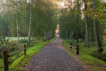 The country road to the Mikhailovskoye estate along the Festive glade on the territory of the...