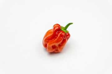 ripened red habanero peppers (capsicum chinense) isolated on white background . Very hot mexican peppers close up
