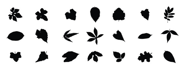 Leaves shape in black isolated vector.