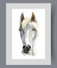 Muzzle of white horse with light bangs between large ears on poster. Watercolor artwork. Wall art with fast thoroughbred horse ready for racing with rider in frame with decor for print