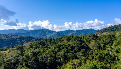 tropical forest and mountains under blue sky