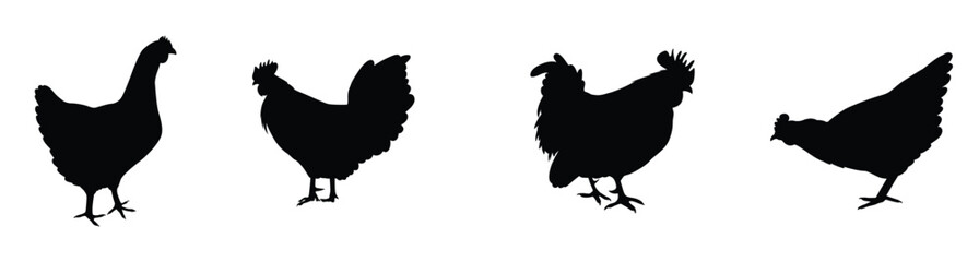 Hand drawn chicken silhouette illustration.