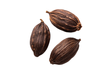Aromatic Trio of Black Cardamom Pods Displayed on Neutral transparent background