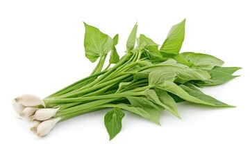 Fresh Green Vegetable Bundle with Bulbs, Isolated on White