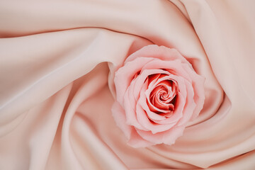 Delicate pink rose placed on soft beige fabric creating a serene and elegant composition