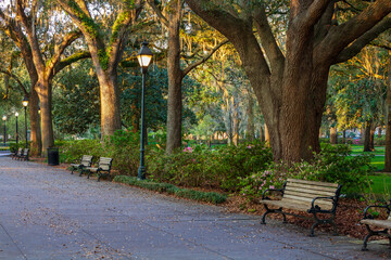 Walkway with benches and streetlights in Forsyth Park Savannah Georgia on a spring morning