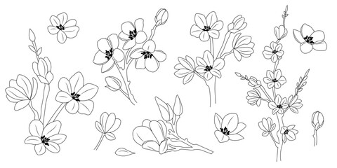 Naklejka premium Set of sakura flower branches