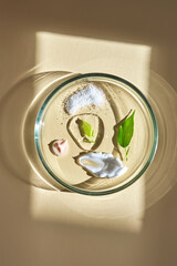 Textures of natural skin care products in a petri dish. Vertical.