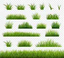 Spring Green Grass Transparent Background