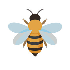 Bee: The Diligent Pollinators of Nature