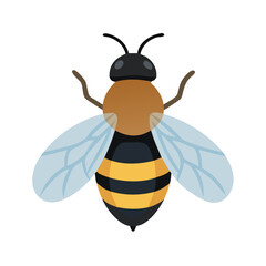 Bee: The Diligent Pollinators of Nature