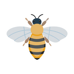 Bee: The Diligent Pollinators of Nature