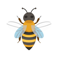 Bee: The Diligent Pollinators of Nature