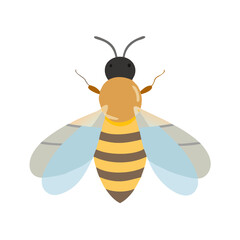 Bee: The Diligent Pollinators of Nature