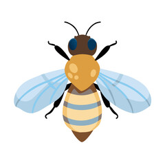 Bee: The Diligent Pollinators of Nature