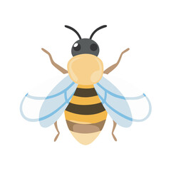 Bee: The Diligent Pollinators of Nature