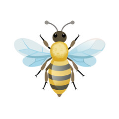 Bee: The Diligent Pollinators of Nature