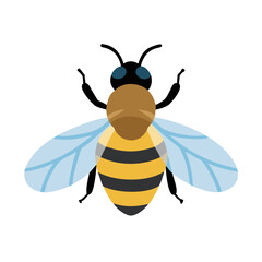 Bee: The Diligent Pollinators of Nature