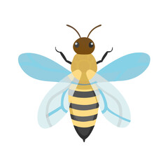 Bee: The Diligent Pollinators of Nature