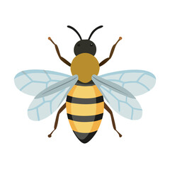 Bee: The Diligent Pollinators of Nature