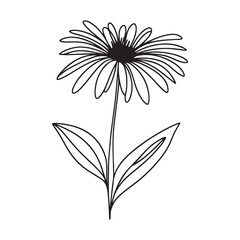 Elegant Daisy Flower Outline Illustration Vector Art Black and White