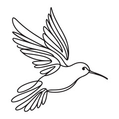 Hummingbird one line drawing vector soaring in minimalist style