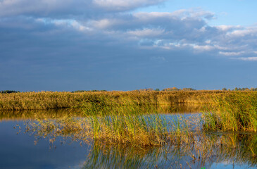 early autumn. The sun is just beginning to rise over the river, along the banks of which tall reeds grow. The sky is gray and gloomy, so it will rain soon.
