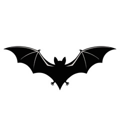 Flying bat silhouetted against night sky

