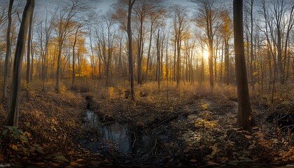 Panoramic view of a sunlit autumn forest.