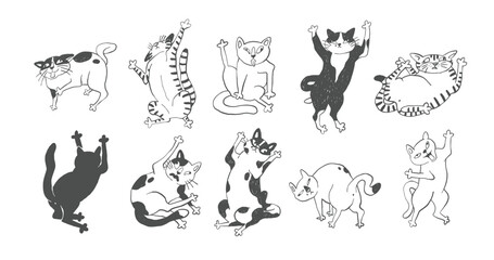 Funny Cat Poses, Ugly Comic Hand Drawn Sketches