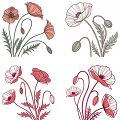 Obraz premium A poppy flower icon with a delicate, wavy petal structure.
