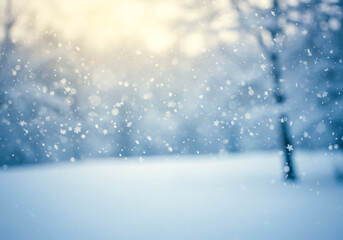 Serene Winter Scene Falling Snowflakes and Soft Light