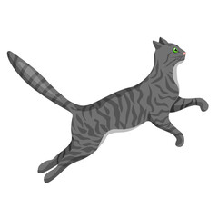 A grey tabby cat jumps, isolated on a white background.Vector illustration of a pet.