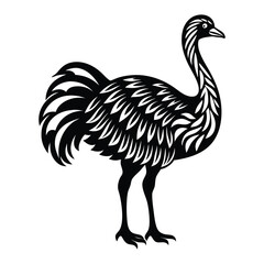 Black ostrich vector illustration, ostrich silhouette vector, ostrich vector icon, Ostrich emu bird vector illustration on a white background