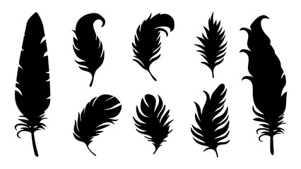 set of feathers silhouette vector on tranparent background