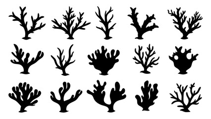 Seaweed silhouettes, coral black icon. Abstract organic shape, underwater plant, matisse element, cute sea doodle.