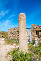 Delos island Archeological Site (in Greek Αρχαιολογικός Χώρος Δήλου) Landscape near Mykonos Island South Aegean Region (Südliche Ägäis) Greece