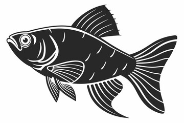 platy fish sihouette black vector